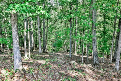 0 Old Zebulon Rd unit 25091897, Forsyth, GA 31029 - photo 5