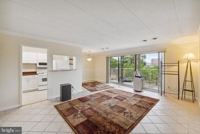 2606 Indian Dr unit 55, Alexandria, VA 22303 - photo 2