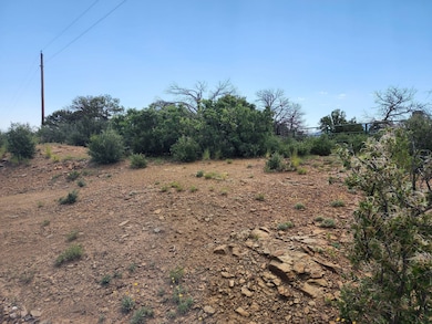 LotC4 Highview Cir, Trinidad, CO 81082 - photo 3