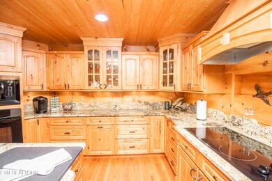 572 Lewis Ln, Blaine, TN 37709 - photo 7