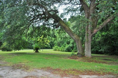DSC_0764 (2)