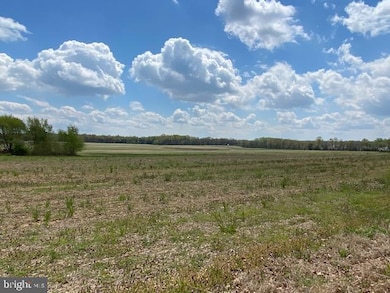 6 Gangemi Ln, Mullica Hill, NJ 08062 - photo 6