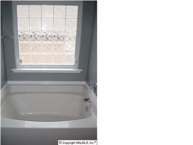 Soaking Tub In Master