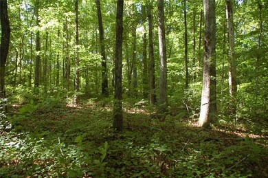 1054 Seven Forks Rd, Martin, GA 30557 - photo 5