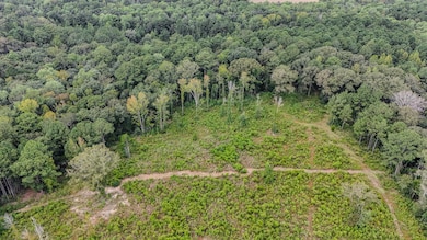 444-0 Tall Oaks Rd, Defuniak Springs, FL 32435 - photo 5