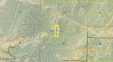 Tr6 Tomski, Anchor Point, AK 99556 - photo 4