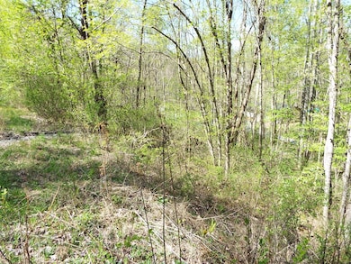 000 Bannick Springs Rd, Whittier, NC 28789 - photo 4