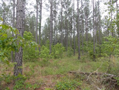 0 Lewis Crook Rd unit 454674, Lincolnton, GA 30817 - photo 5