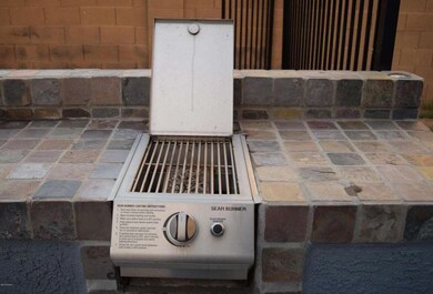 Sear burner.jpg