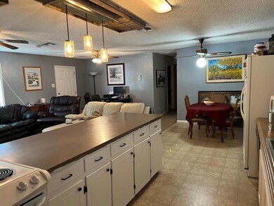 233 Samuel Dr, Weatherford, TX 76085 - photo 3