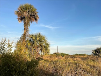 517 Ella Jean Place, Labelle, FL 33935 - photo 2