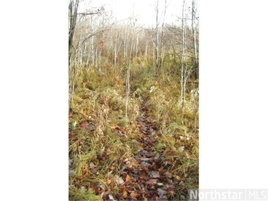 Deer trail through low land with willows and popla