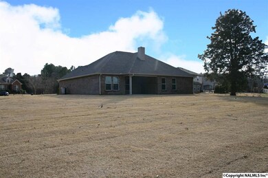 Wow, what a back yard!  Full Sod.