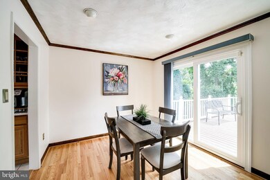 6623 Hulvey Terrace, Alexandria, VA 22306 - photo 6