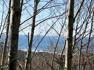 View 4