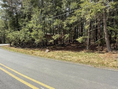 170 / 171 Sir Gawain Ct, Pocono Lake, PA 18347 - photo 2