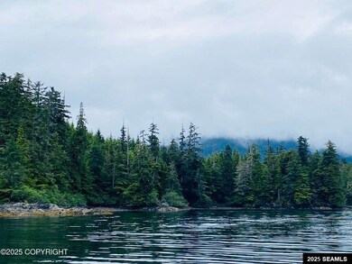 0 Legal Address Only unit Lot 4, Parcel E, US, Hollis, AK 99921 - photo 5