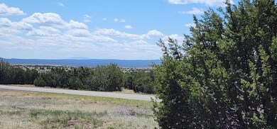 12d Juniperwood Ranch, Ash Fork, AZ 86320 - photo 4