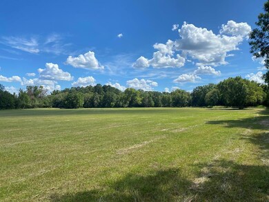 10 ac U S 59, Nacogdoches, TX 75965 - photo 3