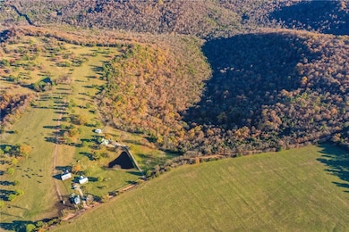 2333 Cr 507, Berryville, AR 72616 - photo 4