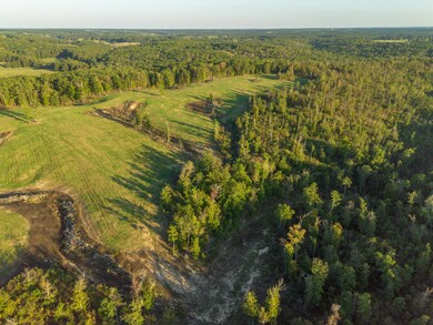 000 Dixon Rd, Licking, MO 65542 - photo 5
