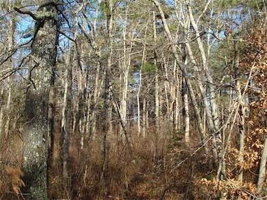 3 Pine St, Middleboro, MA 02346 - photo 5