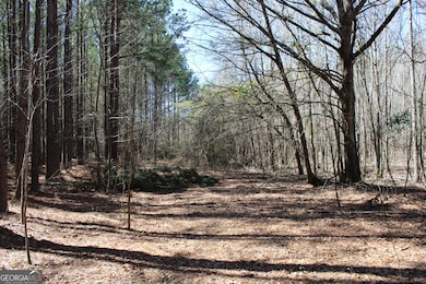 0 Jackson Gin Rd unit 10469996, Harrison, GA 31035 - photo 7