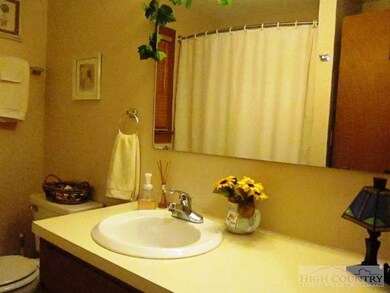 1684 Little Laurel Rd, Boone, NC 28607 - photo 3