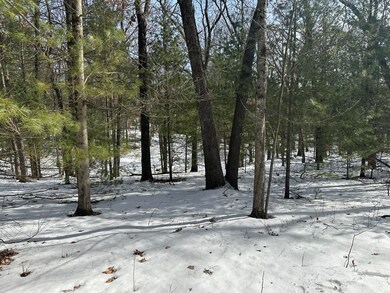 8192 W Cypress Ave, Baldwin, MI 49304 - photo 6