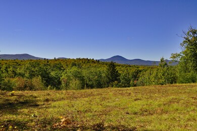 MT. View