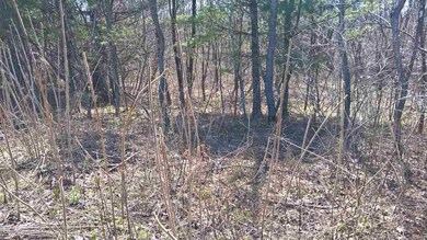 00 Smith Bridge Rd, Plymouth, NH 03264 - photo 4