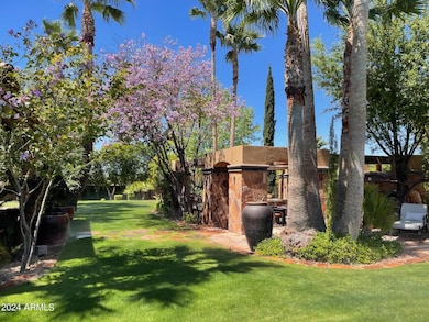 Outdoor kitchen and yard