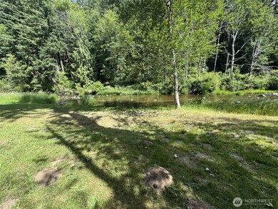 22722 Trails End Rd SE, Yelm, WA 98597 - photo 6
