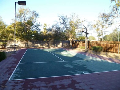 Full sized sport court