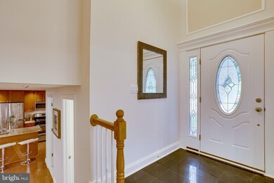 8519 Doter Dr, Alexandria, VA 22308 - photo 4