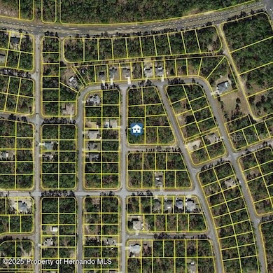 647 W Tulip Ln, Citrus Springs, FL 34434 - photo 3