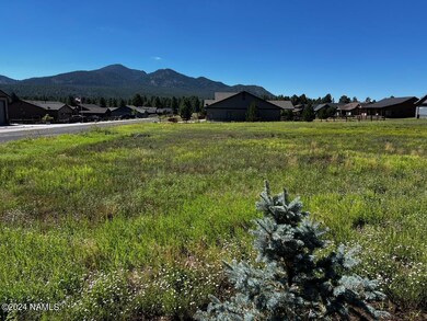 219 Trilogy Dr unit 46, Williams, AZ 86046 - photo 6