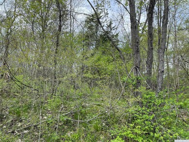 45 Randy Rd, Coxsackie, NY 12015 - photo 7