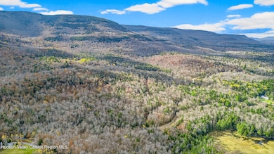 11 Corfu Rd, Hunter, NY 12427 - photo 7