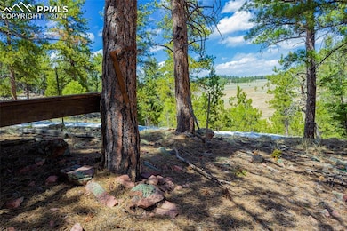 stake marks the NW corner of property