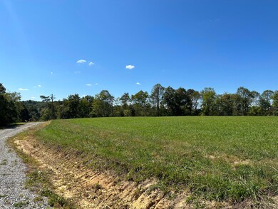 13 Baldwin Rd, McKee, KY 40447 - photo 7