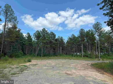 0 Dogwood Drive (Tract: Jr Bedford-Bowles_sims-3) unit VAFN2000524, Columbia, VA 23038 - photo 2