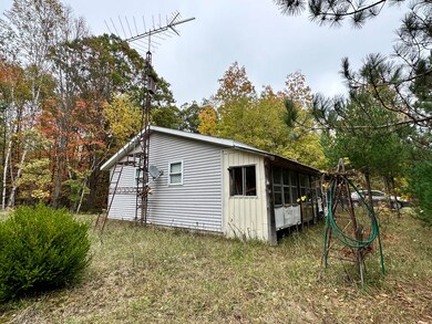 2471 W 12 Mile Rd, Bitely, MI 49309 - photo 2