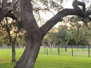 5405 Fishtail Palm Ave, Cocoa, FL 32927 - photo 5