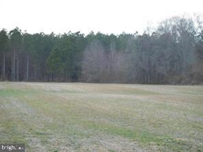 0 Laurel Grove Rd, Denton, MD 21629 - photo 3