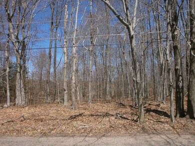 0 Logger Rd, Greene Township, PA 18325 - photo 2