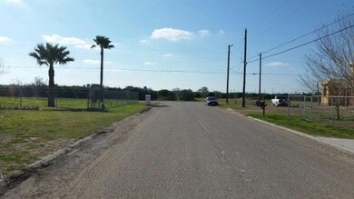 2408 Diana St, Donna, TX 78537 - photo 2