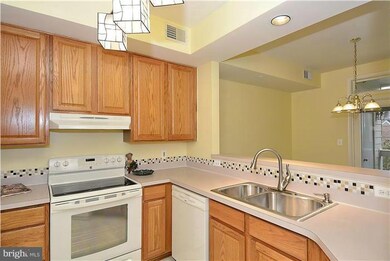 1314 Garden Wall Cir unit D, Reston, VA 20194 - photo 2