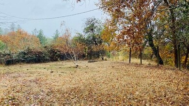 431-435511 Backyard