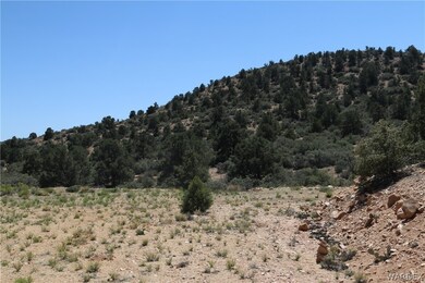 TBD E Mountain Springs Rd, Hackberry, AZ 86411 - photo 2